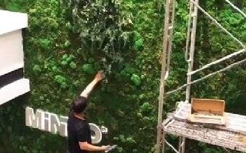 苔藓植物墙装置历程