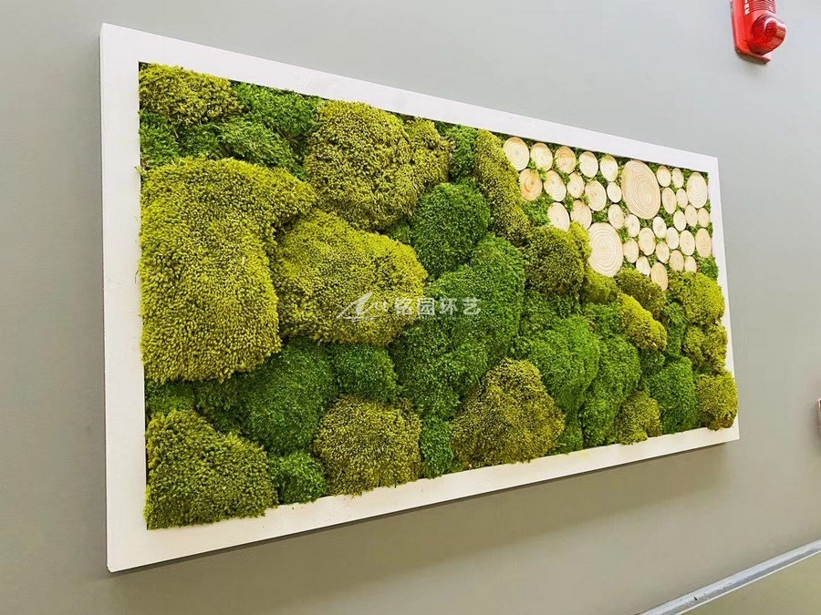 室内永生苔藓植物墙，清新视觉，创立有灵魂的景观