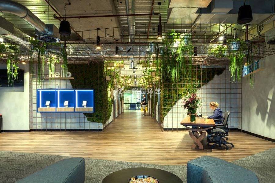 科技公司办公室植物墙，苔藓打造的现代工业风